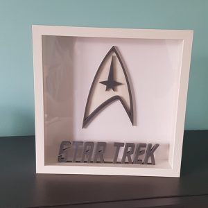 Cuadro Star trek