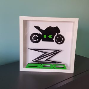 Cuadro 3D Kawasaki Z800